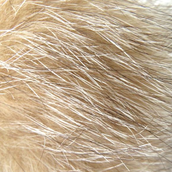 Moncler Moncler BERRETTO Fox Fur Knit Hat Navy S Canvas Hats - Picture 7 of 9